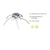 Lampa sufitowa VALERIE 15340-55 - Paul Neuhaus