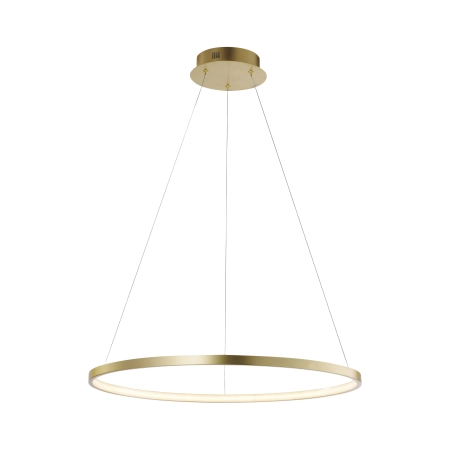 Lampa wisząca CIRCLE 11524-12 - Paul Neuhaus