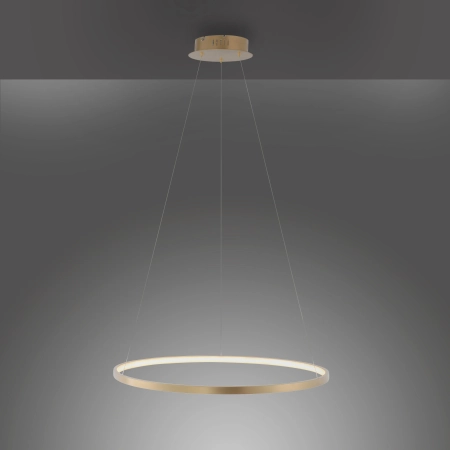 Lampa wisząca CIRCLE 11524-12 - Paul Neuhaus