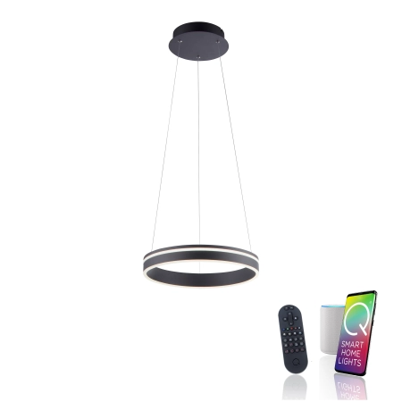 Lampa wisząca na pilota i aplikację smart Q-VITO 8410-13 - Paul Neuhaus