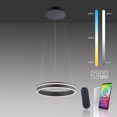 Lampa wisząca na pilota i aplikację smart Q-VITO 8410-13 - Paul Neuhaus