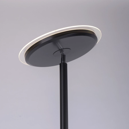 Lampa podłogowa HANS 11709-18 - Paul Neuhaus