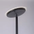 Lampa podłogowa HANS 11709-18 - Paul Neuhaus