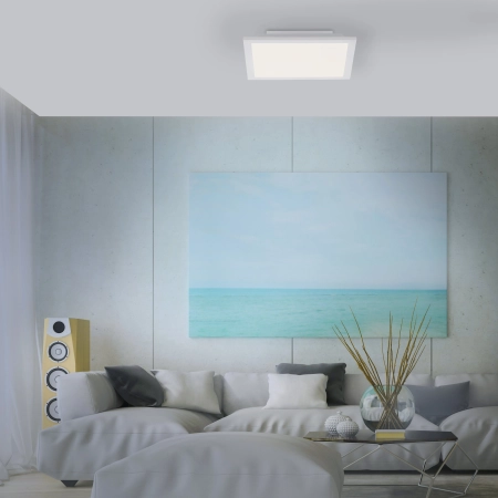 Lampa sufitowa FLEET 14470-16 - Paul Neuhaus