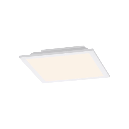 Lampa sufitowa FLEET 14470-16 - Paul Neuhaus