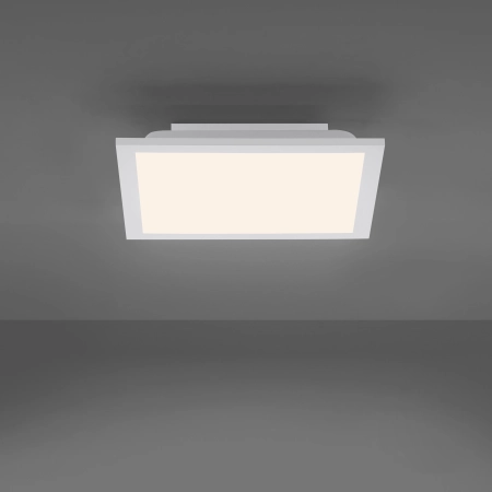 Lampa sufitowa FLEET 14470-16 - Paul Neuhaus