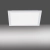 Lampa sufitowa FLEET 14470-16 - Paul Neuhaus