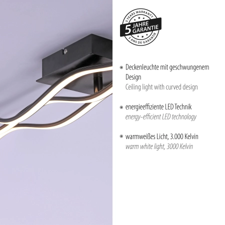 Lampa sufitowa WAVE 15167-18 - Paul Neuhaus