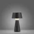 Lampa stołowa ABERA 19260-18 - Paul Neuhaus
