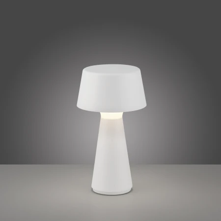 Lampa stołowa ABERA 19260-16 - Paul Neuhaus