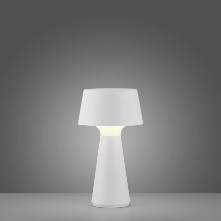 Lampa stołowa ABERA 19260-16 - Paul Neuhaus