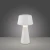 Lampa stołowa ABERA 19260-16 - Paul Neuhaus