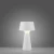 Lampa stołowa ABERA 19260-16 - Paul Neuhaus