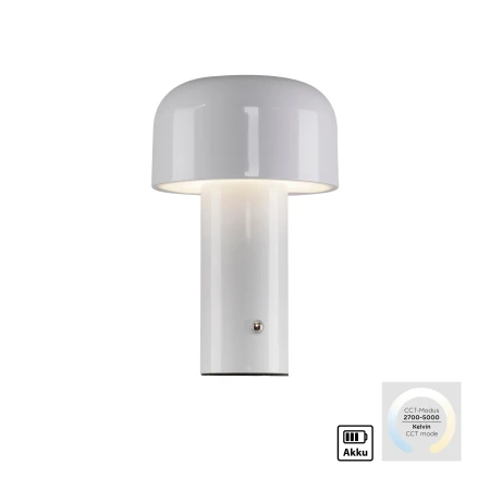 Lampa stołowa AGNES 19190-16 - Paul Neuhaus