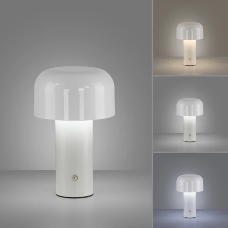 Lampa stołowa AGNES 19190-16 - Paul Neuhaus