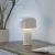Lampa stołowa AGNES 19190-16 - Paul Neuhaus