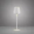 Lampa stołowa BOTERIA 19251-16 - Paul Neuhaus