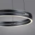 Lampa wisząca PURE E-LOOP 2550-15 - Paul Neuhaus