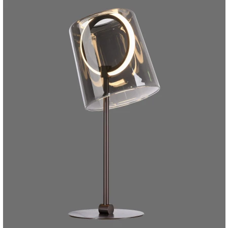 Lampa stołowa ZULA 4542-25 - Paul Neuhaus