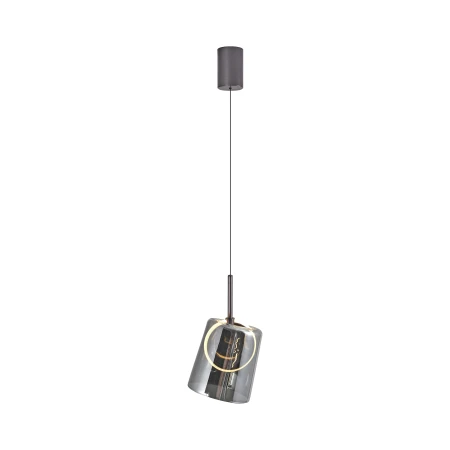 Lampa wisząca ZULA 2541-25 - Paul Neuhaus
