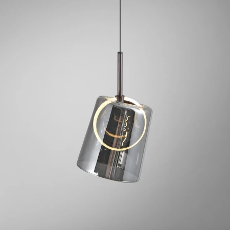 Lampa wisząca ZULA 2541-25 - Paul Neuhaus