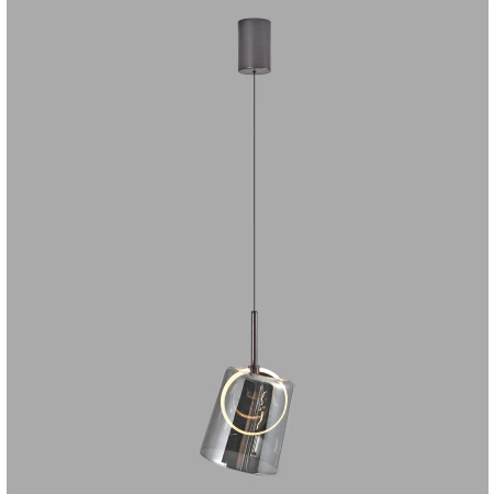 Lampa wisząca ZULA 2541-25 - Paul Neuhaus