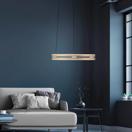 Lampa wisząca PURE E-LOOP 2550-60 - Paul Neuhaus
