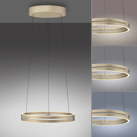 Lampa wisząca PURE E-LOOP 2550-60 - Paul Neuhaus