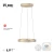 Lampa wisząca PURE E-LOOP 2550-60 - Paul Neuhaus