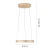 Lampa wisząca PURE E-LOOP 2550-60 - Paul Neuhaus