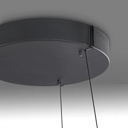 Lampa wisząca PURE E-LOOP 2551-18 - Paul Neuhaus