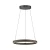 Lampa wisząca PURE E-LOOP 2551-18 - Paul Neuhaus