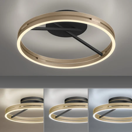 Lampa sufitowa PURE LOOP 6552-68 - Paul Neuhaus