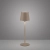 Lampa stołowa BOTERIA 19251-39 - Paul Neuhaus