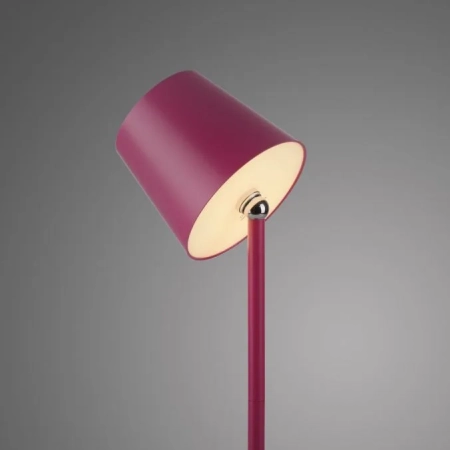 Lampa stołowa BOTERIA 19251-87 - Paul Neuhaus