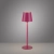 Lampa stołowa BOTERIA 19251-87 - Paul Neuhaus