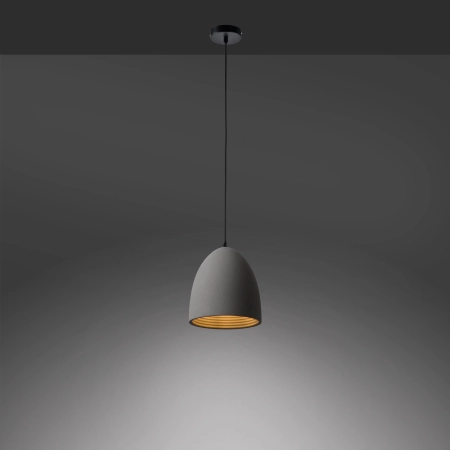 Lampa wisząca ETON 2231-22 - Paul Neuhaus