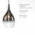Lampa wisząca PILUA 2061-17 - Paul Neuhaus