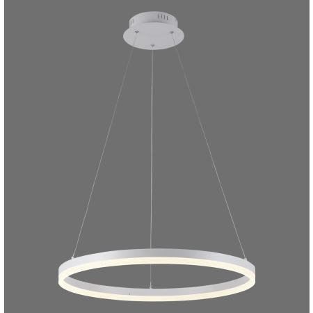 Lampa wisząca TITUS 2382-16 - Paul Neuhaus