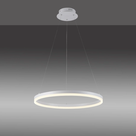 Lampa wisząca TITUS 2382-16 - Paul Neuhaus