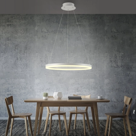 Lampa wisząca TITUS 2382-16 - Paul Neuhaus