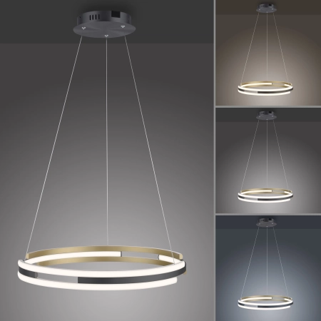 Lampa wisząca na pilota i aplikację smart Q-BELUGA 2051-60 - Paul Neuhaus