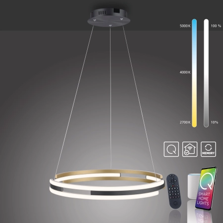 Lampa wisząca na pilota i aplikację smart Q-BELUGA 2051-60 - Paul Neuhaus