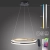 Lampa wisząca na pilota i aplikację smart Q-BELUGA 2051-60 - Paul Neuhaus