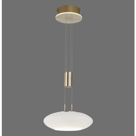 Lampa wisząca na pilota i aplikację smart Q-ETIENNE 2075-60 - Paul Neuhaus