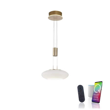 Lampa wisząca na pilota i aplikację smart Q-ETIENNE 2075-60 - Paul Neuhaus