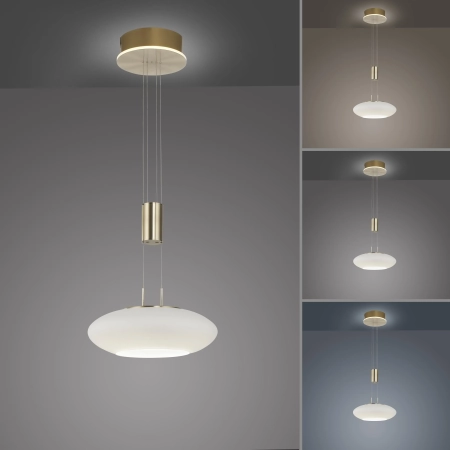 Lampa wisząca na pilota i aplikację smart Q-ETIENNE 2075-60 - Paul Neuhaus