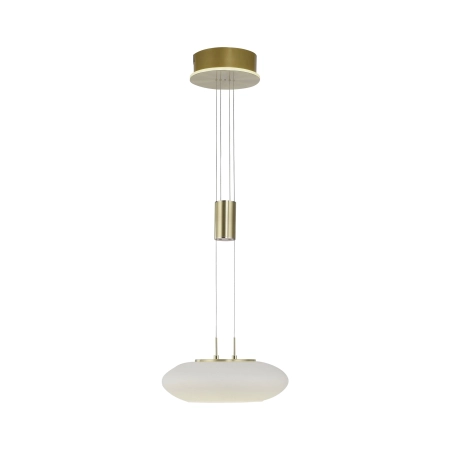 Lampa wisząca na pilota i aplikację smart Q-ETIENNE 2075-60 - Paul Neuhaus