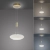 Lampa wisząca na pilota i aplikację smart Q-ETIENNE 2075-60 - Paul Neuhaus