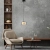 Lampa wisząca RIKA 2112-18 - Paul Neuhaus